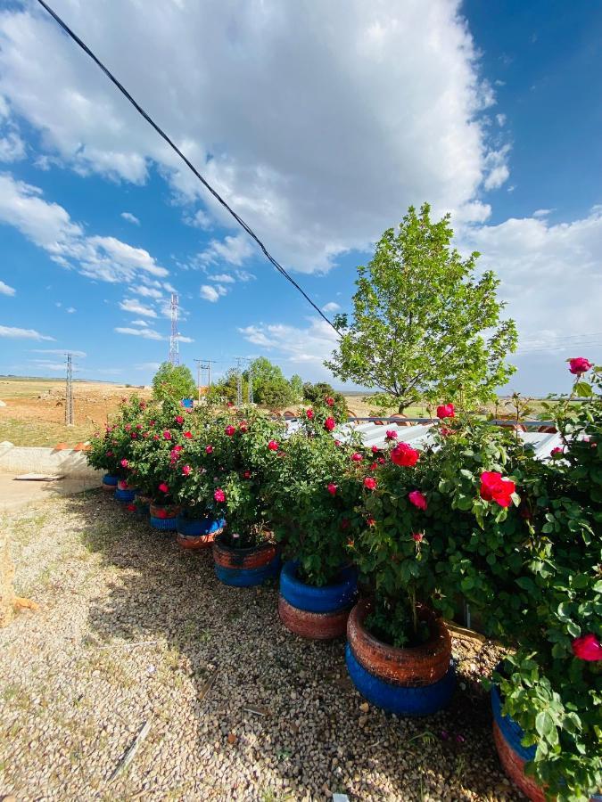 Motel Ain Mersa Ifrane  Dış mekan fotoğraf